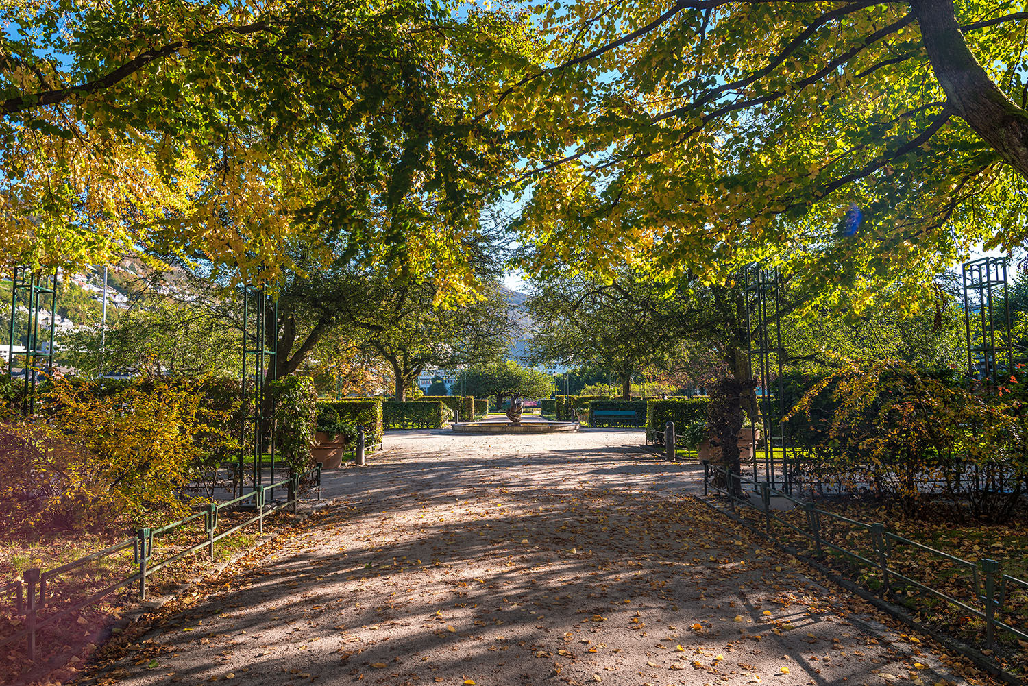 Trees in Byparken showing vibrant yellow autumn leaves.