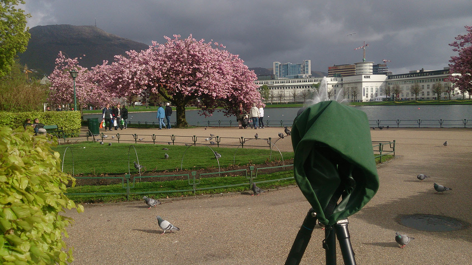 Behind the scenes: Camera covered with rain protection hood under threatening skies.