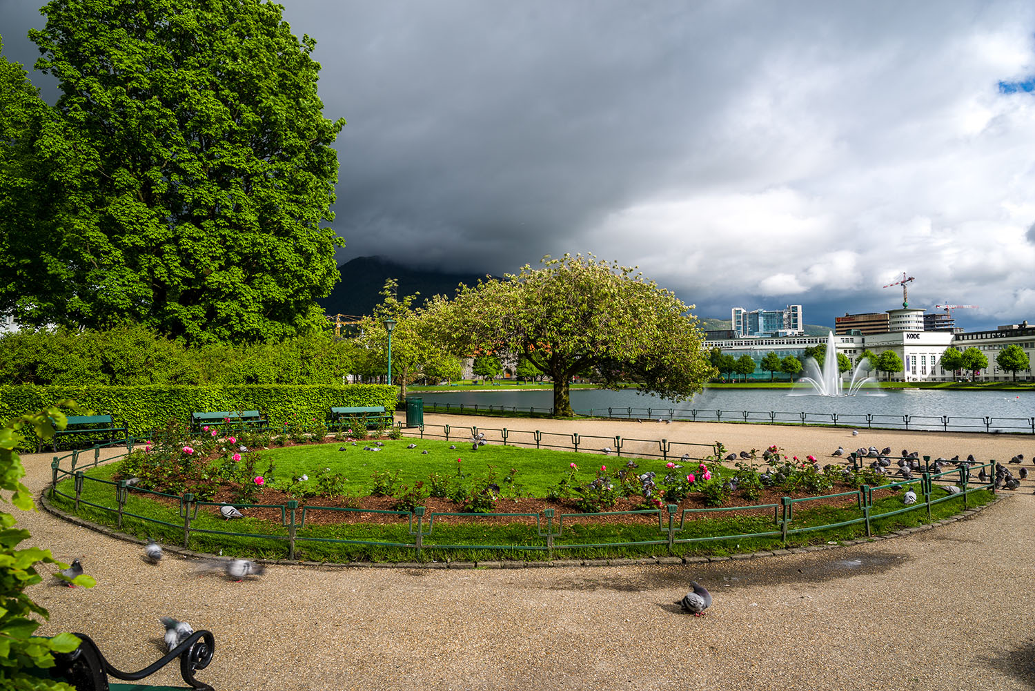 Green summer park landscape illuminated by sun breaking through dark clouds.